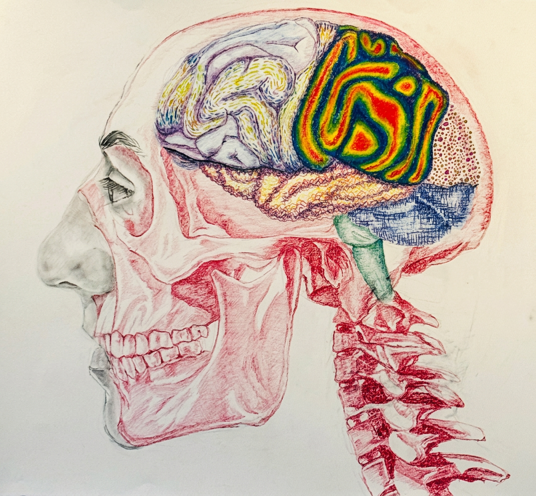 Mind, mapped.